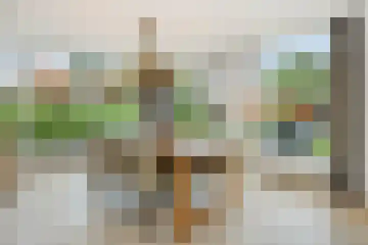 Loonsebaan 44 Vught thumbnail 8