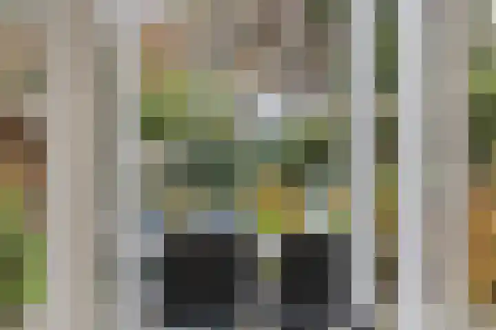 Loonsebaan 44 Vught thumbnail 9