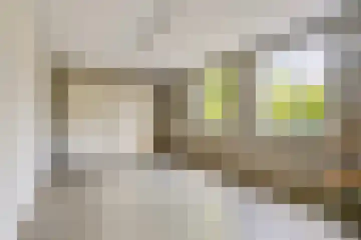 Loonsestraat 1 A Neerloon thumbnail 13