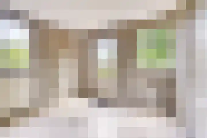 Loonsestraat 1 A Neerloon thumbnail 16