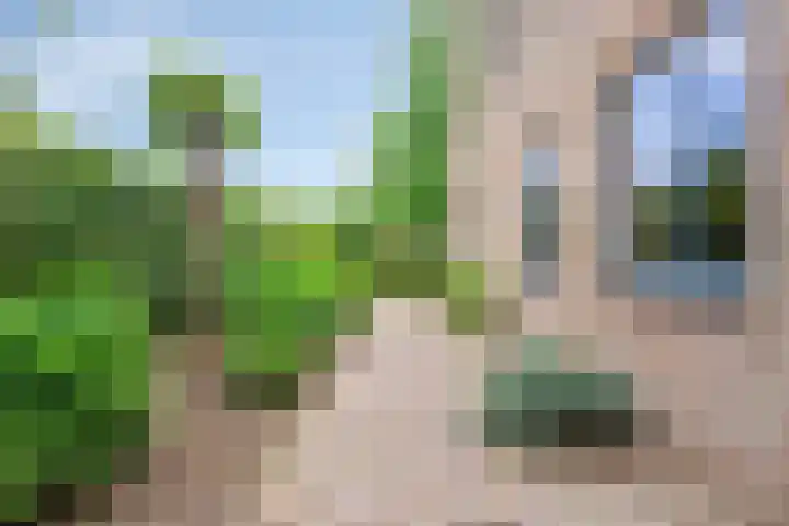 Loonsestraat 1 A Neerloon thumbnail 33
