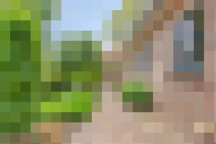 Loonsestraat 1 A Neerloon thumbnail 34