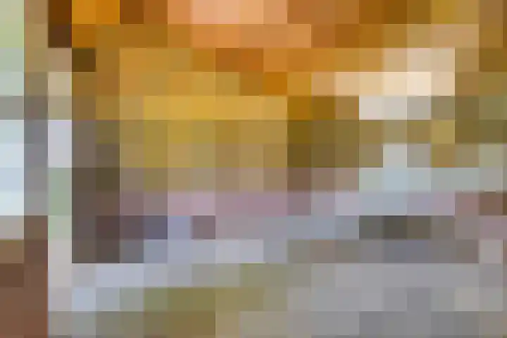 Loonsestraat 1 A Neerloon thumbnail 36