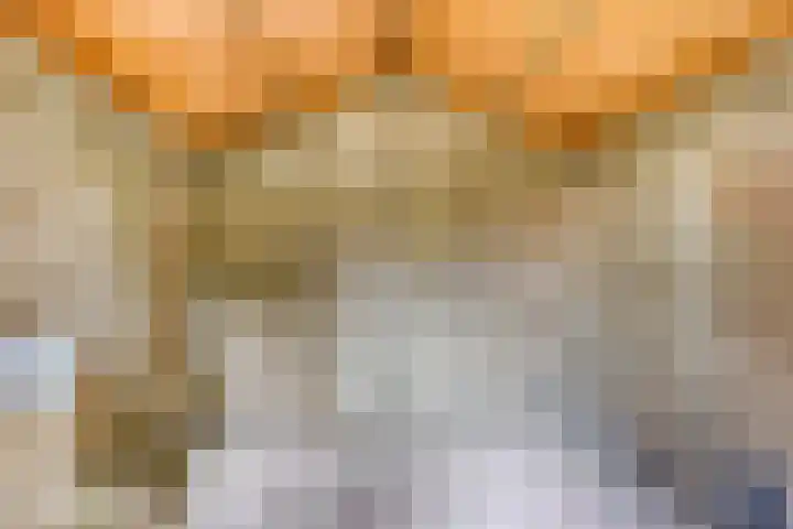 Loonsestraat 1 A Neerloon thumbnail 37