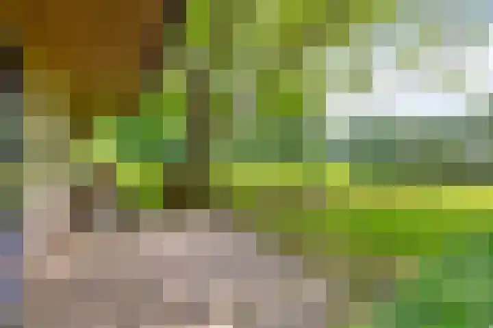 Loonsestraat 1 A Neerloon thumbnail 38