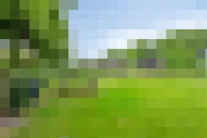 Loonsestraat 1 A Neerloon thumbnail 39