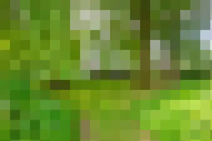 Loonsestraat 1 A Neerloon thumbnail 40