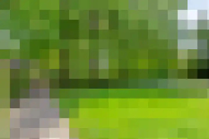 Loonsestraat 1 A Neerloon thumbnail 41