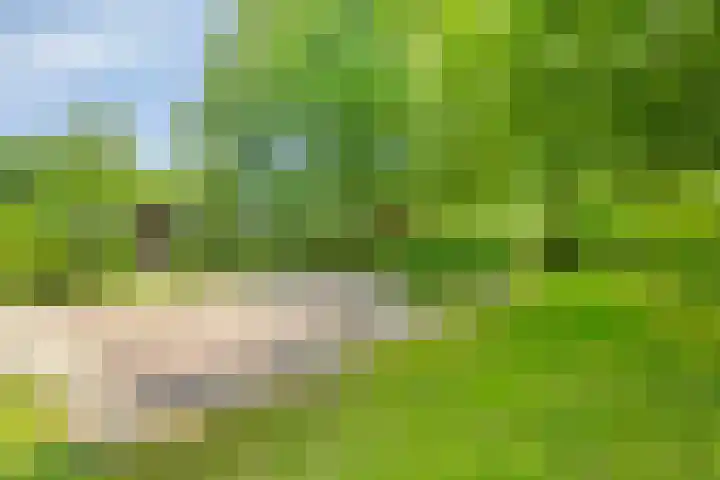 Loonsestraat 1 A Neerloon thumbnail 42