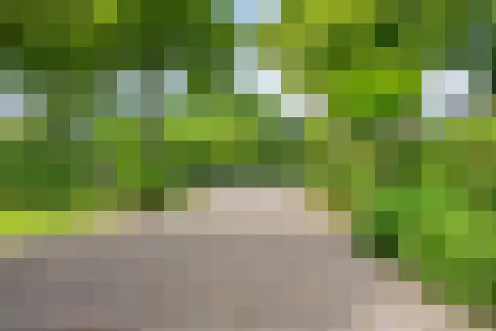 Loonsestraat 1 A Neerloon thumbnail 43
