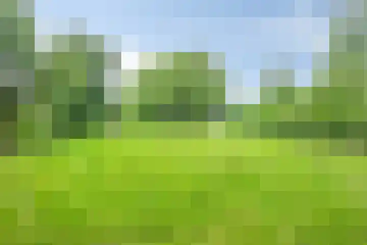 Loonsestraat 1 A Neerloon thumbnail 44