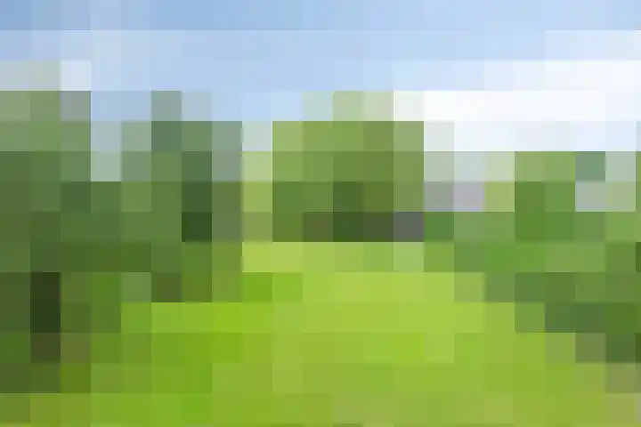 Loonsestraat 1 A Neerloon thumbnail 45