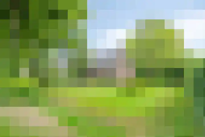Loonsestraat 1 A Neerloon thumbnail 47