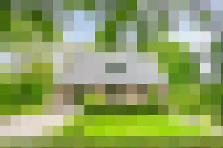 Loonsestraat 1 A Neerloon thumbnail 49