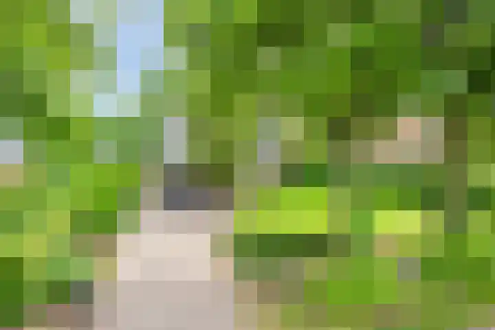 Loonsestraat 1 A Neerloon thumbnail 50