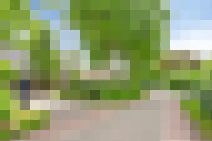 Loonsestraat 1 A Neerloon thumbnail 51