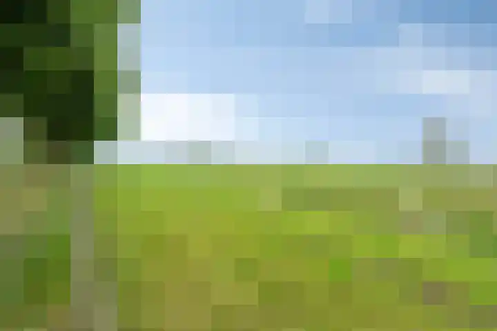 Loonsestraat 1 A Neerloon thumbnail 54