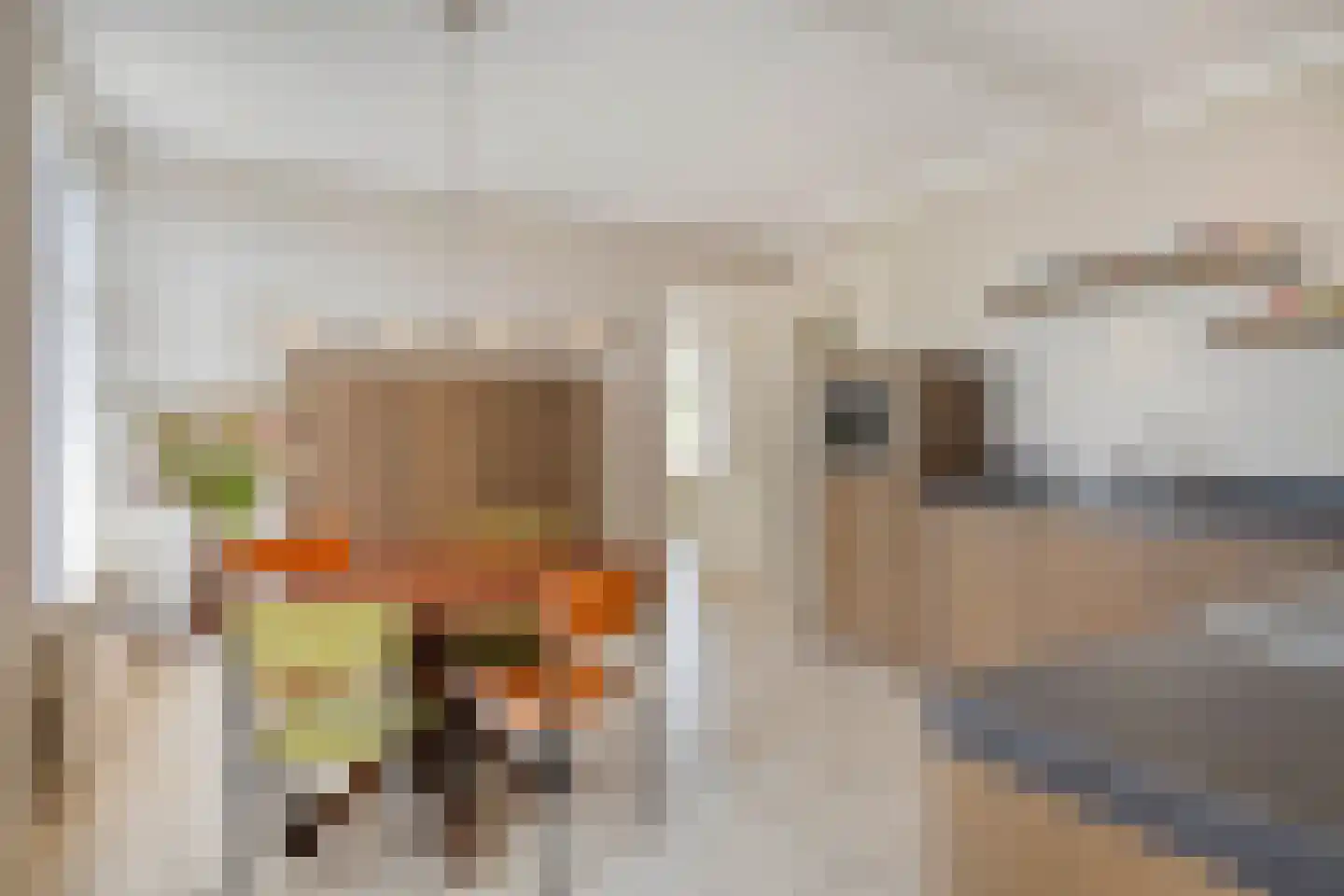 Loonsestraat 11 Nuland thumbnail 14