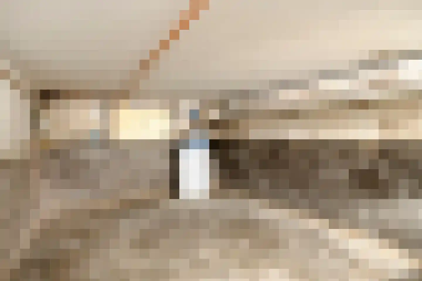 Loonsestraat 11 Nuland thumbnail 20