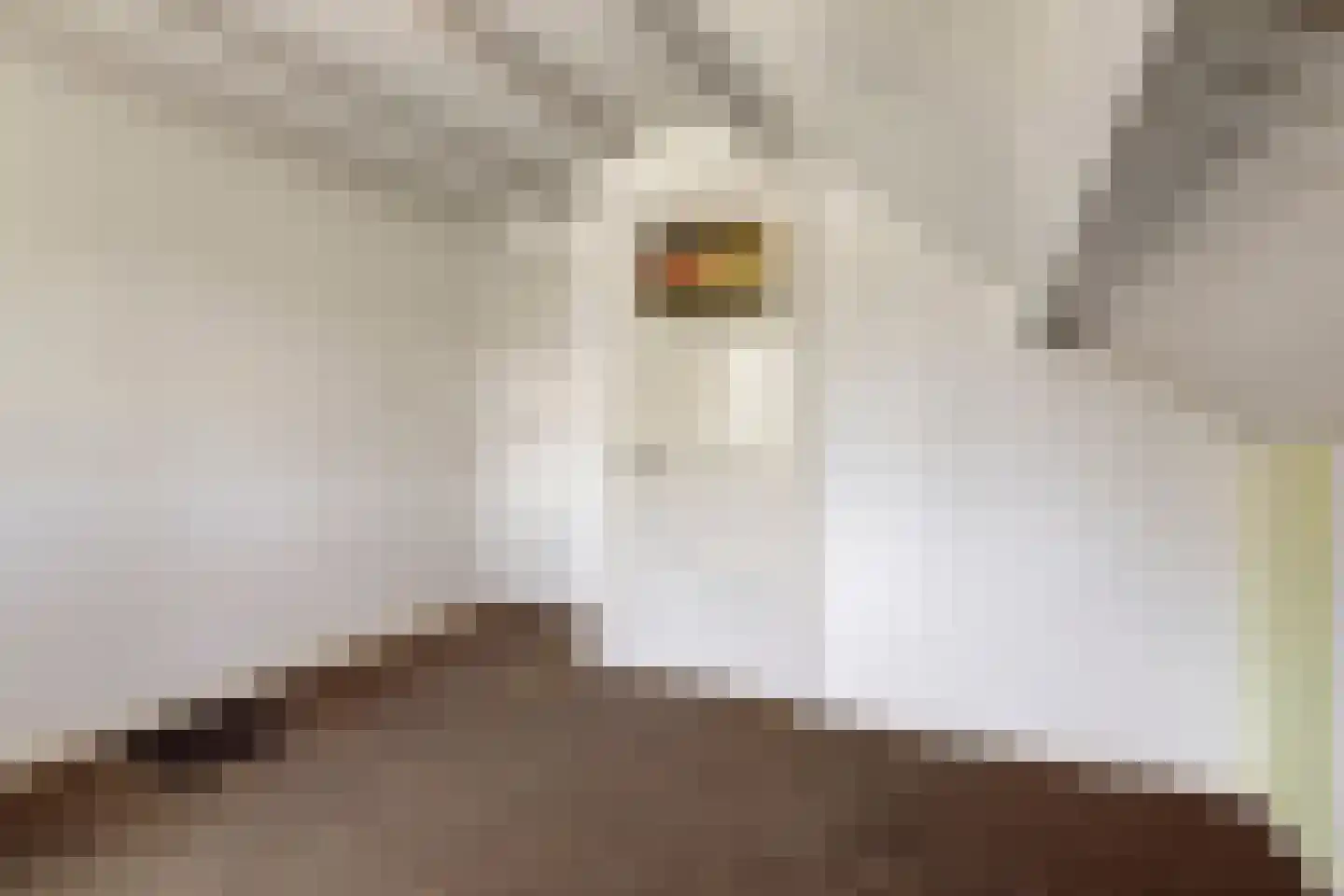 Loonsestraat 11 Nuland thumbnail 33