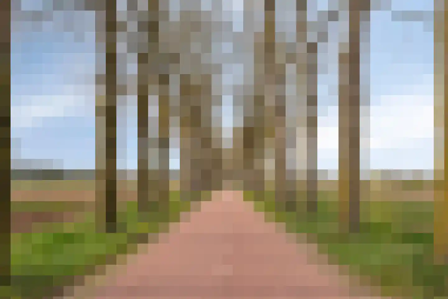 Loonsestraat 11 Nuland thumbnail 44