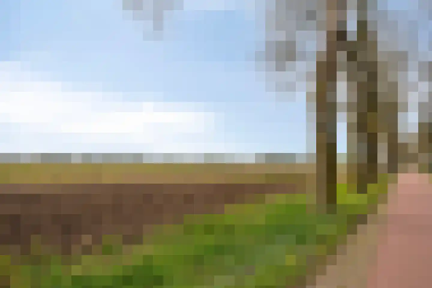Loonsestraat 11 Nuland thumbnail 45
