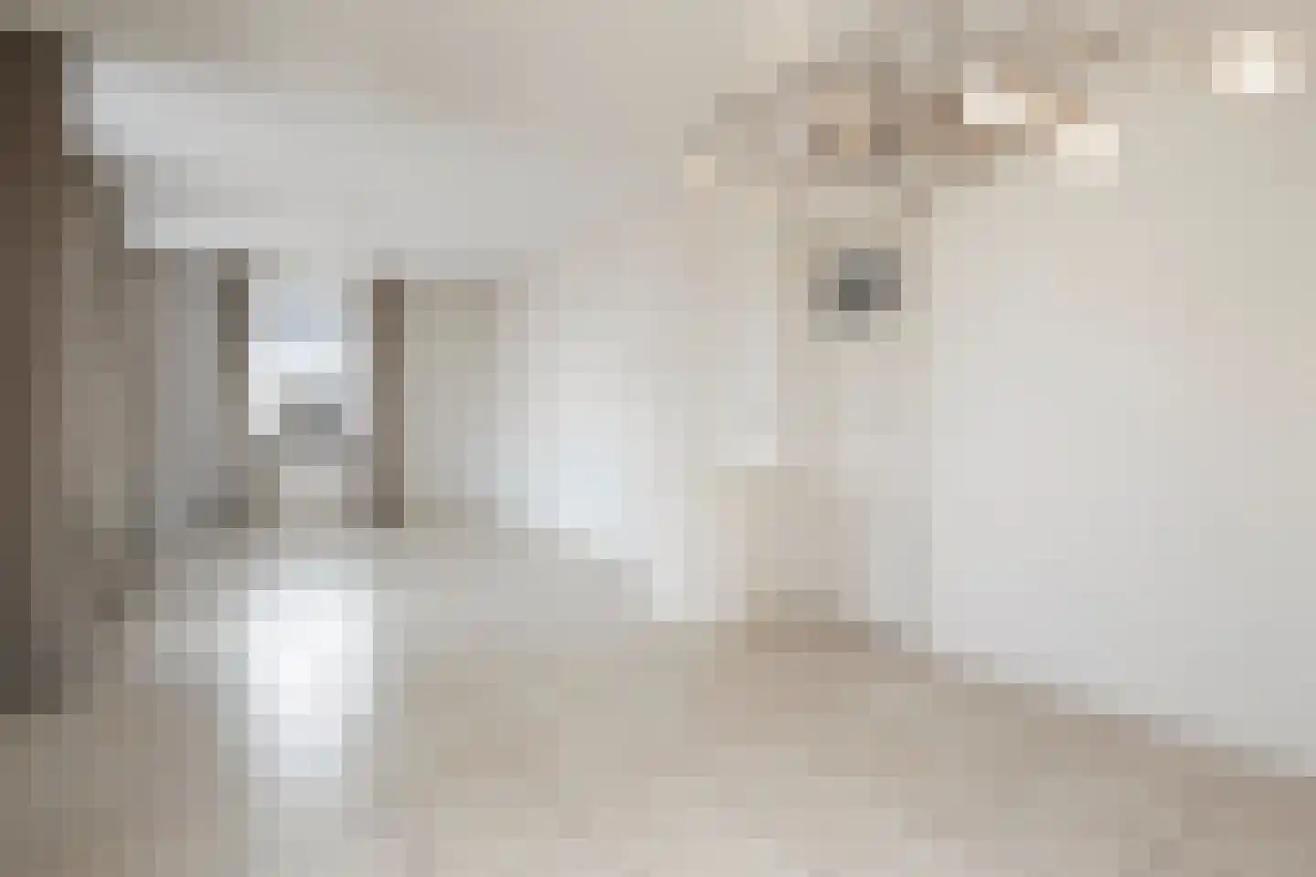 Loonsestraat 11 Nuland thumbnail 5