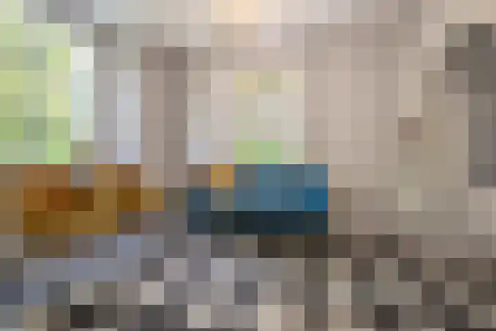 Loonsestraat 12 Nuland thumbnail 16