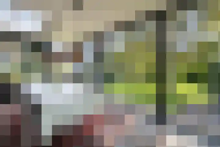 Loonsestraat 12 Nuland thumbnail 18