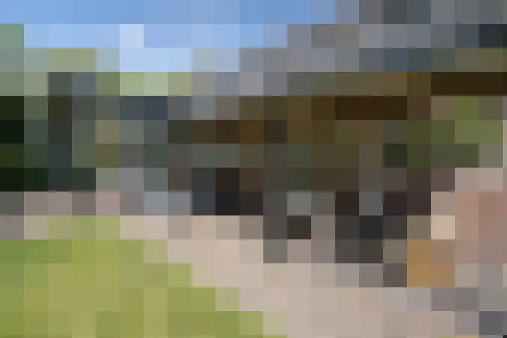 Loonsestraat 12 Nuland thumbnail 19