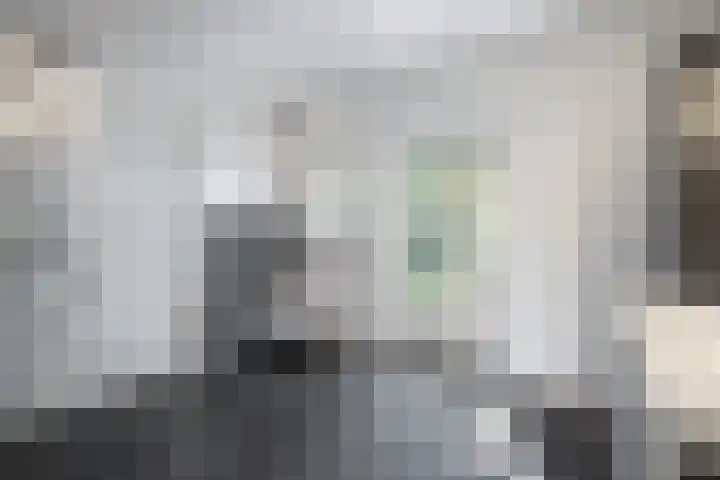 Loonsestraat 12 Nuland thumbnail 20
