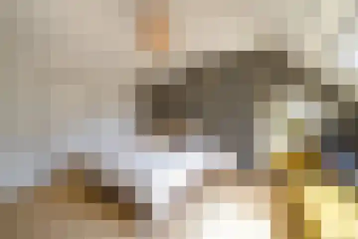 Loonsestraat 12 Nuland thumbnail 25