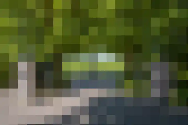 Loonsestraat 12 Nuland thumbnail 33