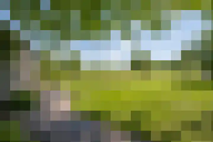 Loonsestraat 12 Nuland thumbnail 34