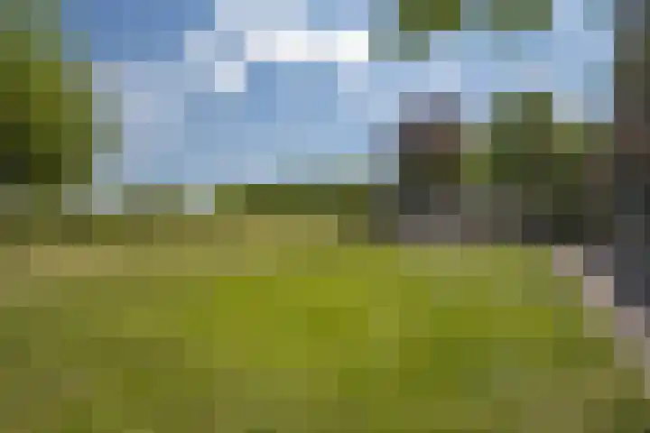 Loonsestraat 12 Nuland thumbnail 35