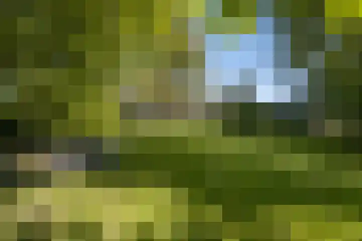 Loonsestraat 12 Nuland thumbnail 36