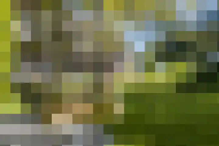 Loonsestraat 12 Nuland thumbnail 4