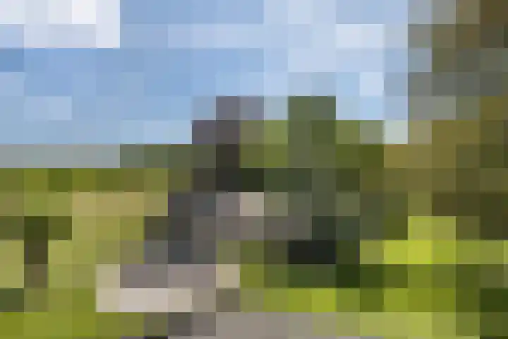Loonsestraat 12 Nuland thumbnail 40