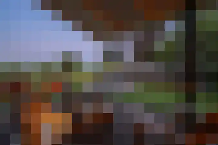 Loonsestraat 12 Nuland thumbnail 42
