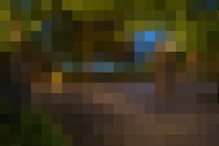 Loonsestraat 12 Nuland thumbnail 43