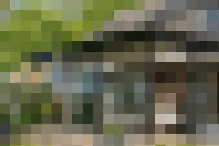 Loonsestraat 12 Nuland thumbnail 5