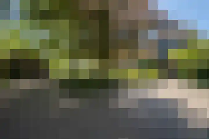 Loonsestraat 12 Nuland thumbnail 6