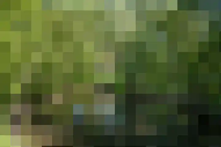 Loonsestraat 12 Nuland thumbnail 8