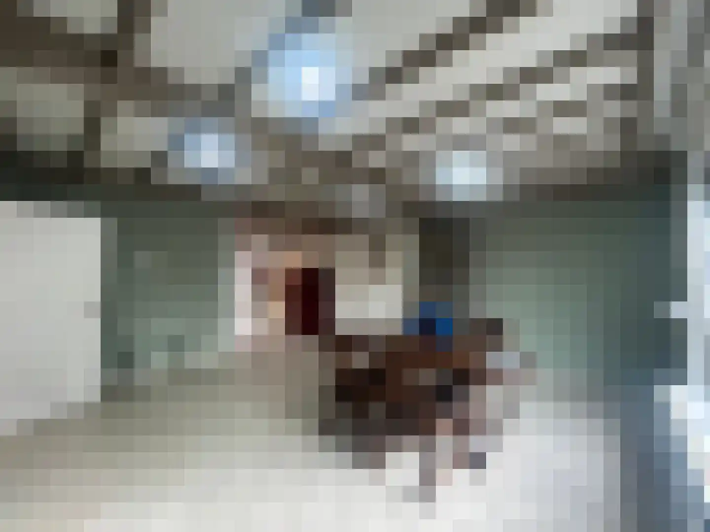 Loonsestraat 5 Sprang-Capelle thumbnail 36