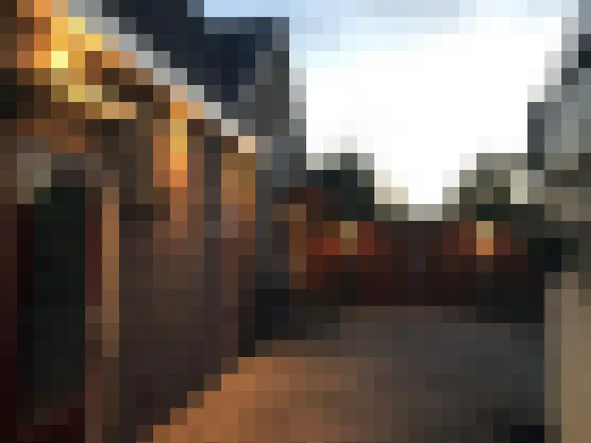 Loonsestraat 5 Sprang-Capelle thumbnail 4