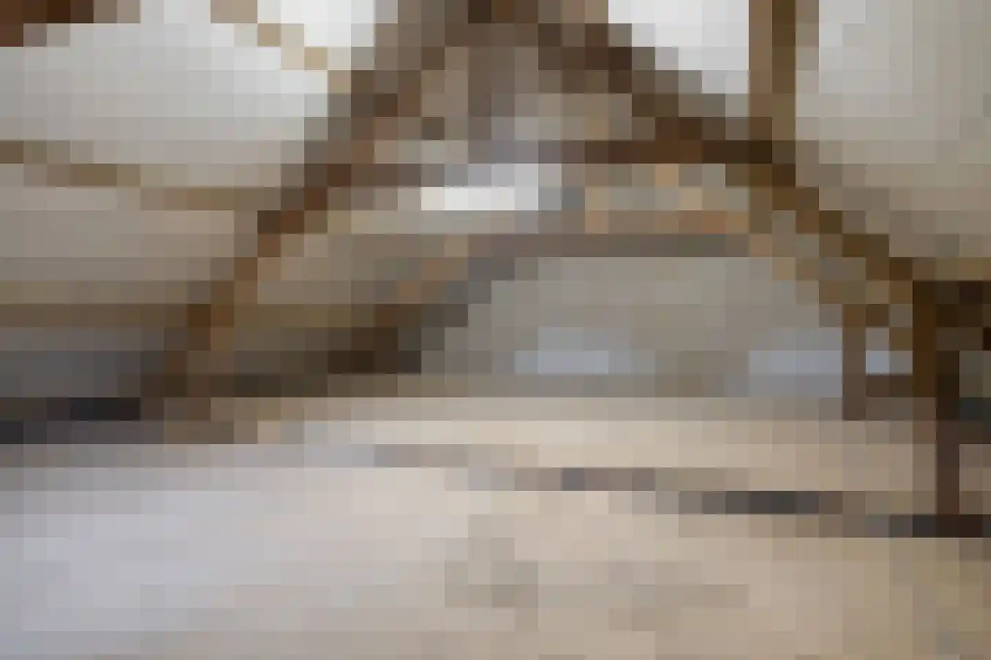 Loonsestraat 9 Nuland thumbnail 13