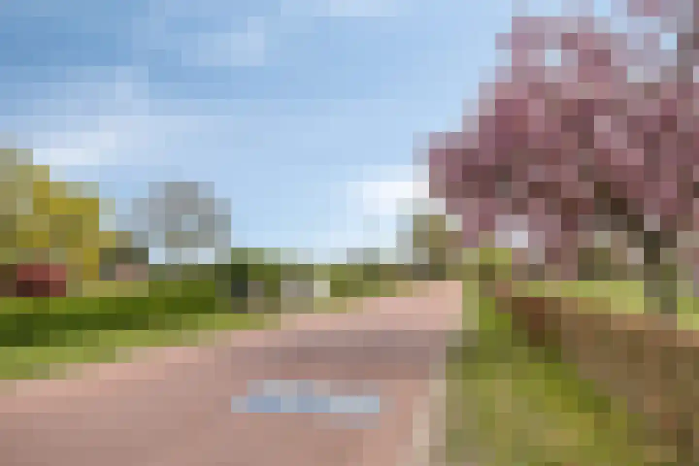 Loonsestraat 9 Nuland thumbnail 23