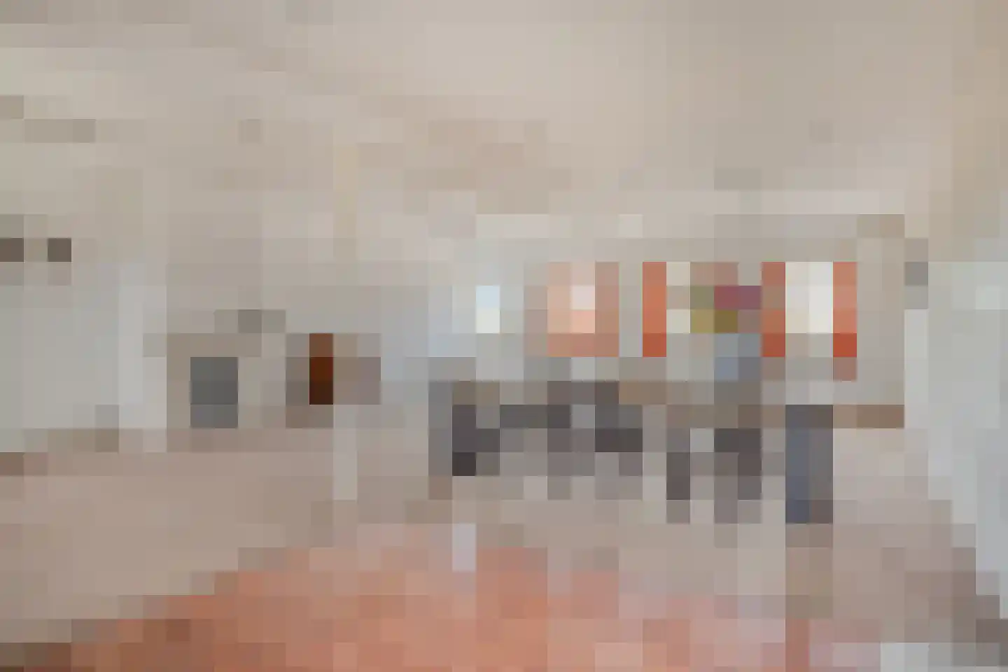 Loonsestraat 9 Nuland thumbnail 7