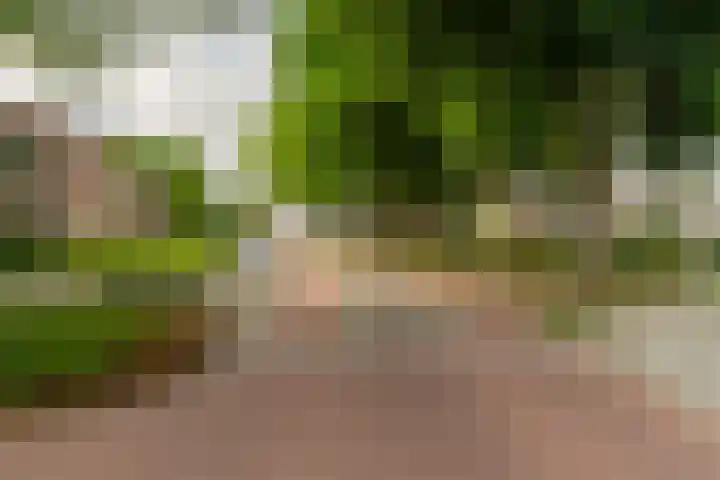 Loonsevaert 52 Kaatsheuvel thumbnail 10