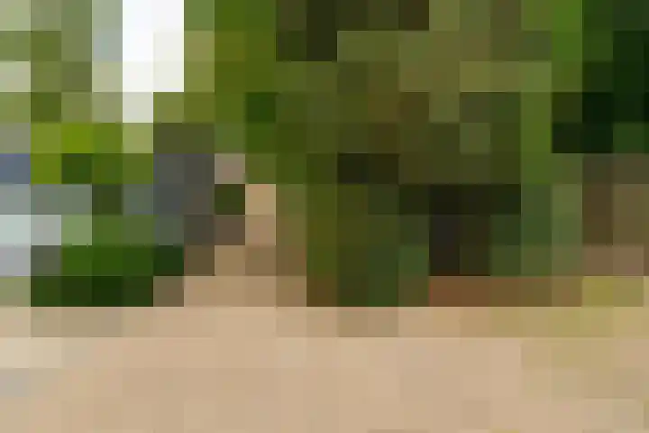 Loonsevaert 52 Kaatsheuvel thumbnail 11